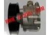 Power Steering Pump:MR418566