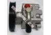 Bomba hidráulica, dirección Power Steering Pump:49110-7N900
